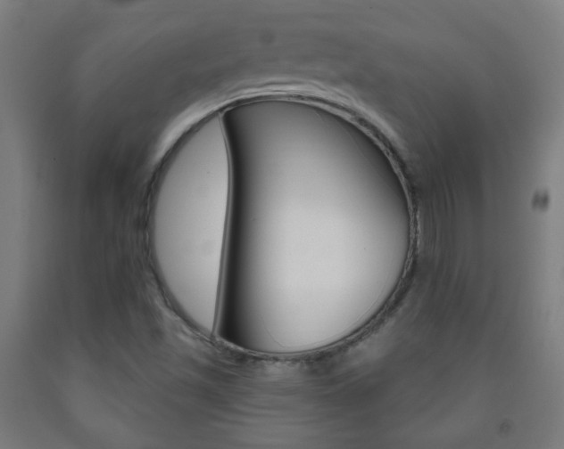 X0000093251501200709261545