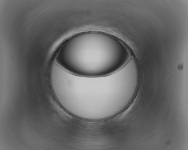 X0000093251502200709261545