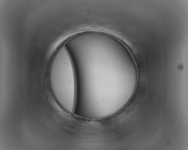 X0000093251503200709261545