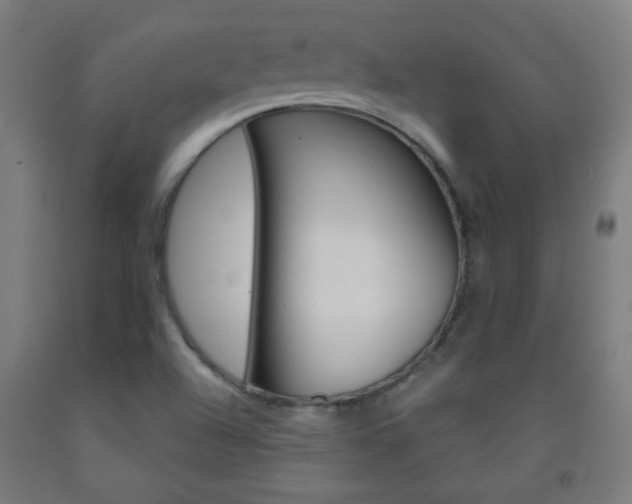 X0000093251504200709261545