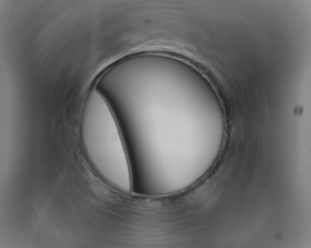 X0000093251505200709261545