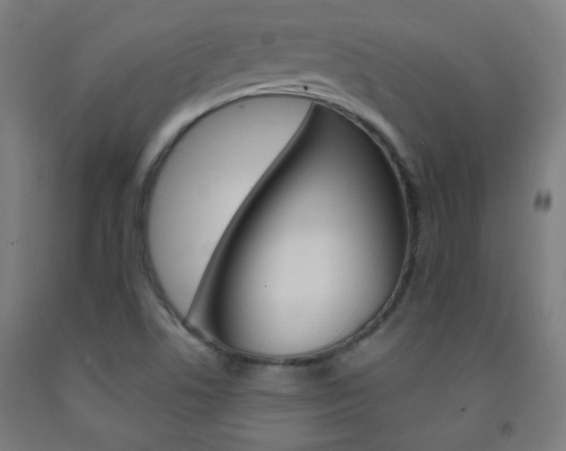 X0000093251506200709261545