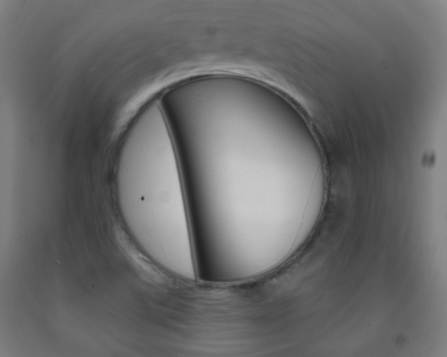 X0000093251507200709261545