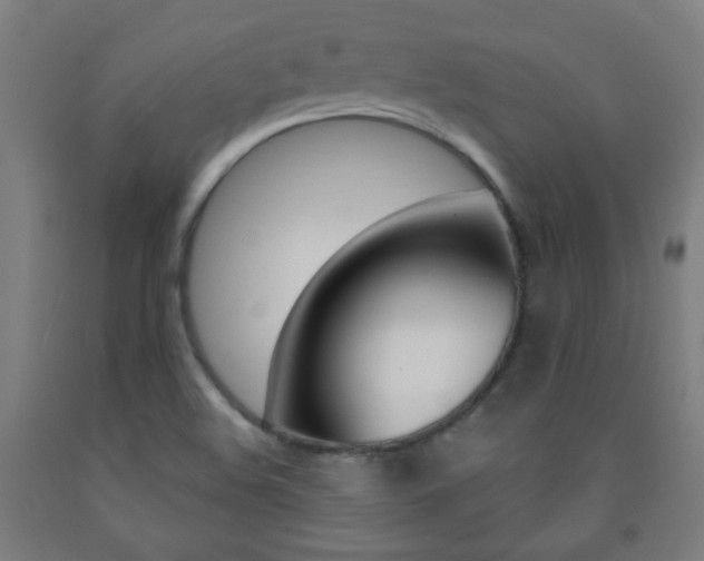 X0000093251508200709261545