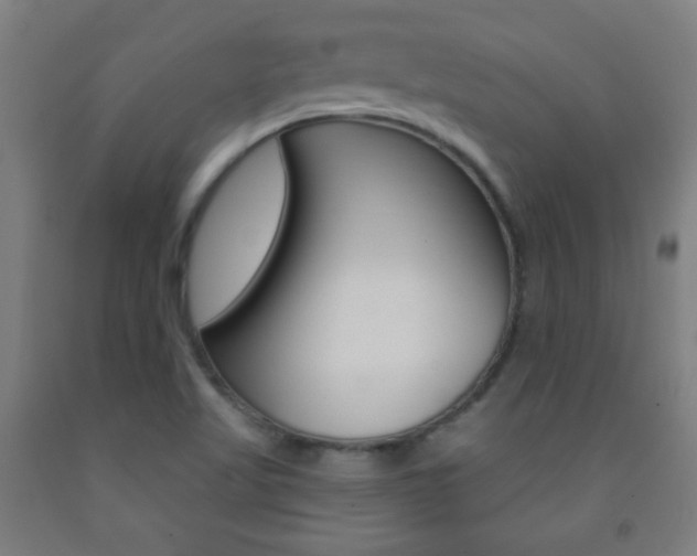 X0000093251509200709261545