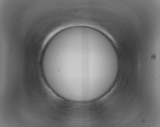 X0000093251510200709261545
