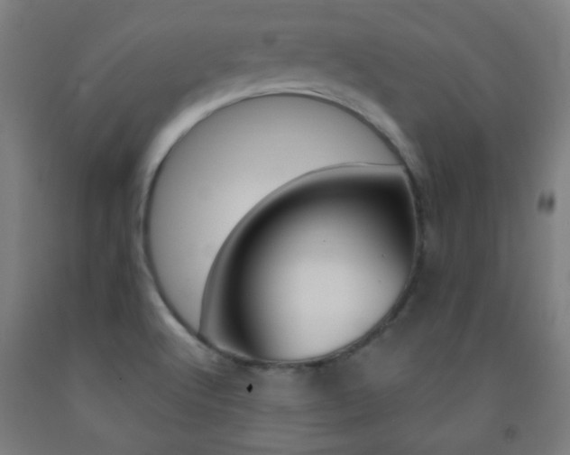 X0000093251512200709261545