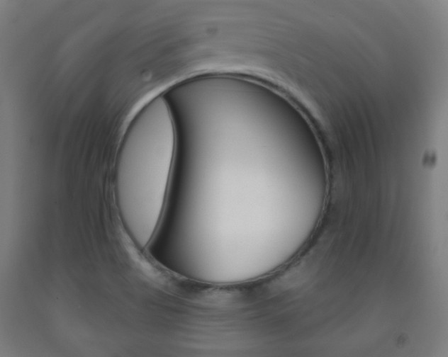 X0000093251513200709261545