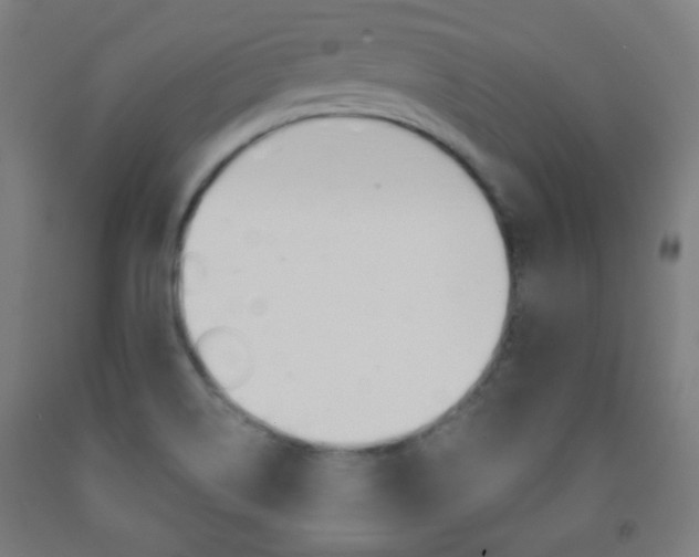 X0000093251514200709261545