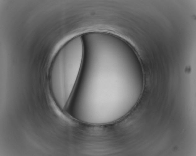 X0000093251515200709261545