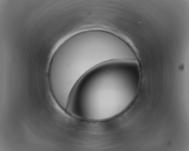 X0000093251516200709261545