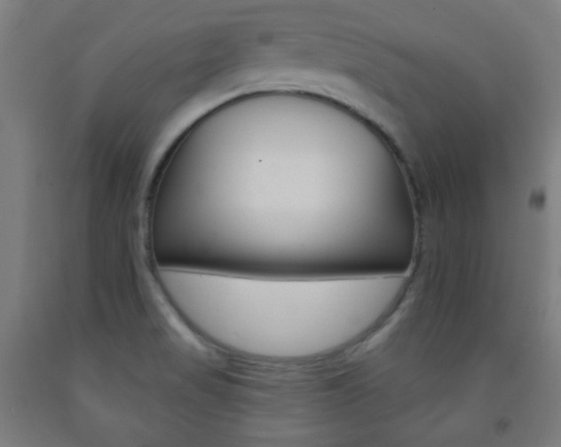X0000093251517200709261545