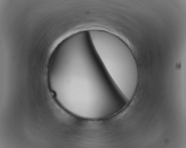 X0000093251518200709261545