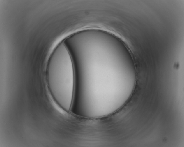 X0000093251519200709261545
