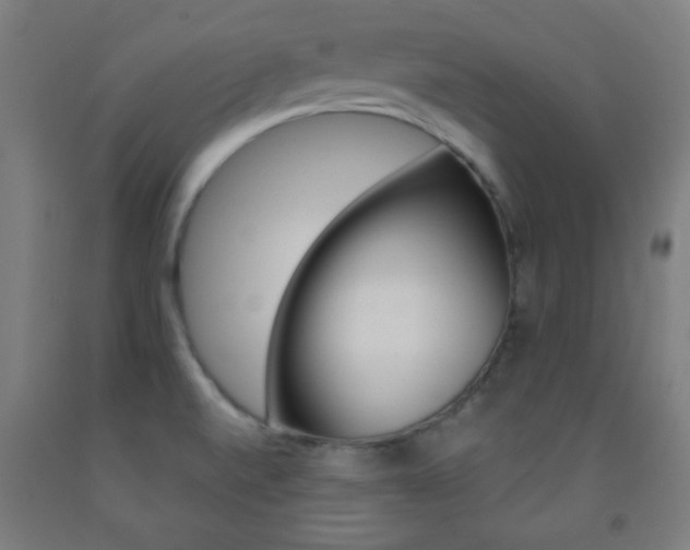 X0000093251520200709261545