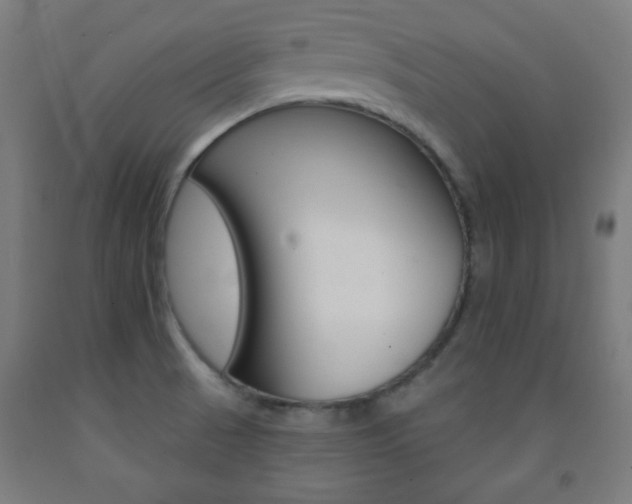 X0000093251521200709261545