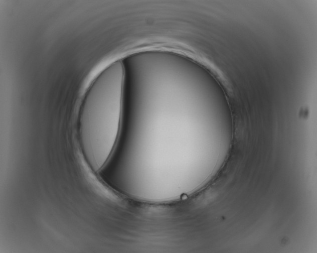 X0000093251522200709261545