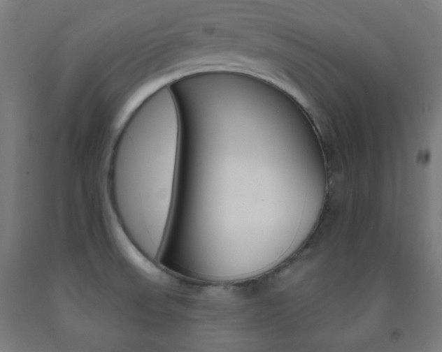X0000093251523200709261545