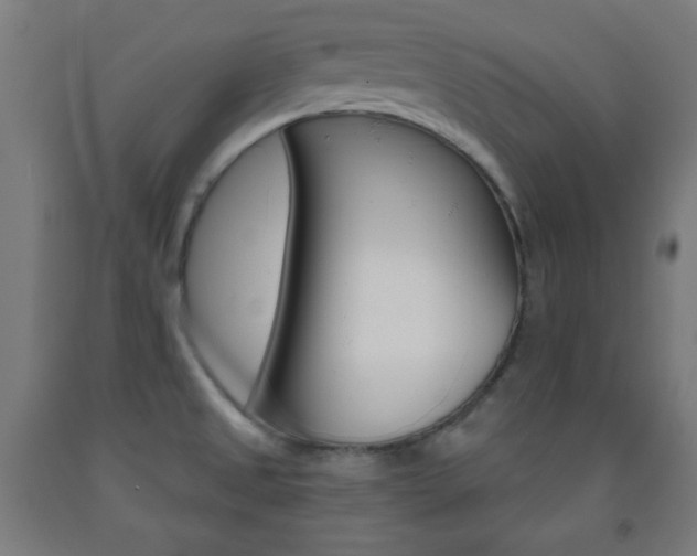 X0000093251525200709261545