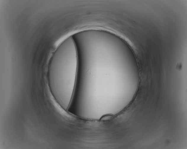 X0000093251526200709261545