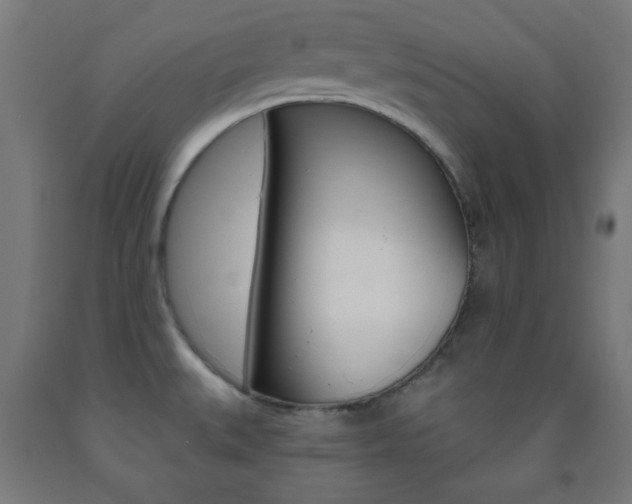 X0000093251527200709261545