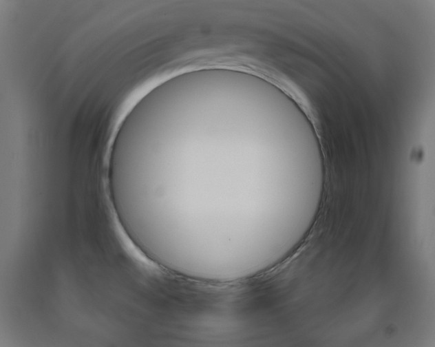 X0000093251528200709261545