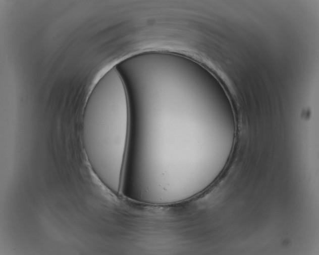 X0000093251529200709261546