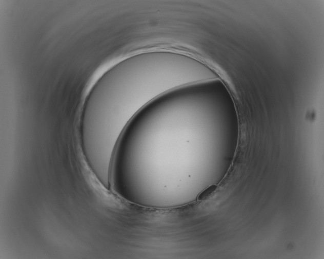 X0000093251530200709261546