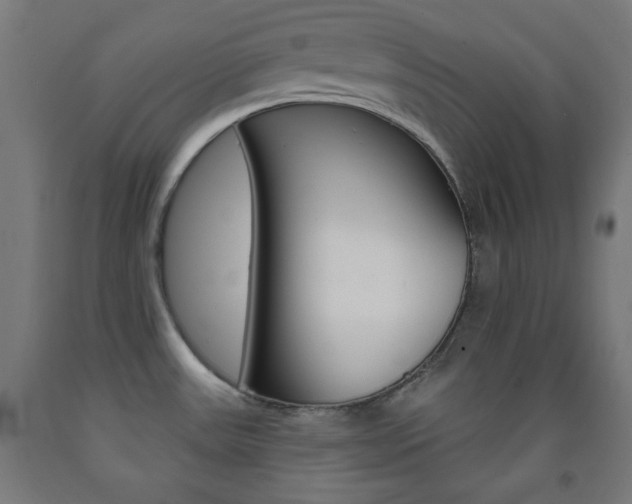 X0000093251531200709261546