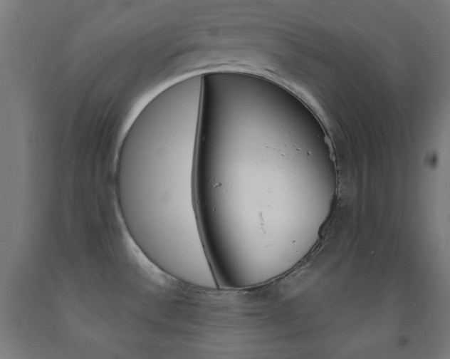 X0000093251532200709261546