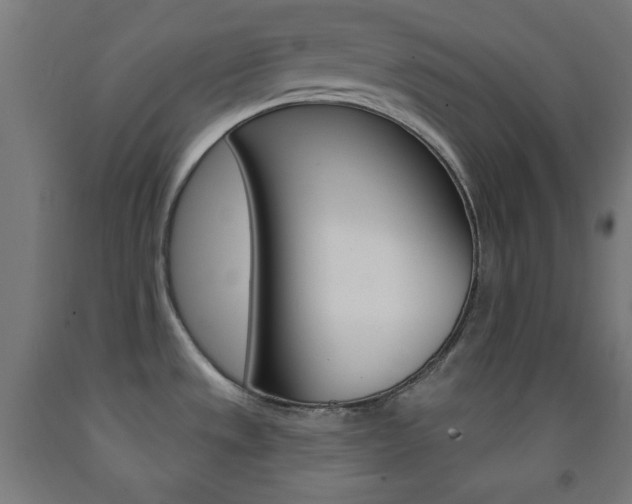 X0000093251533200709261546