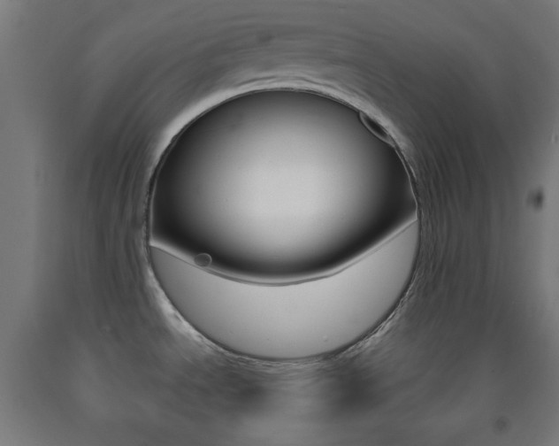 X0000093251534200709261546