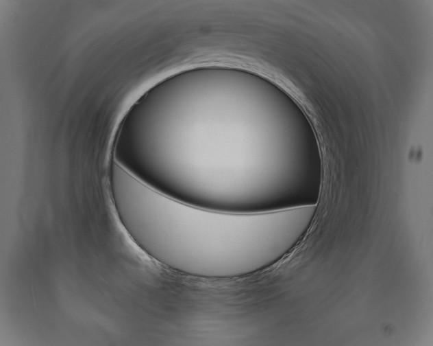 X0000093251536200709261546
