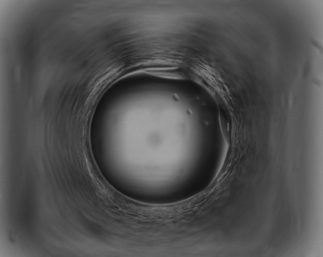X0000093250001200709261729