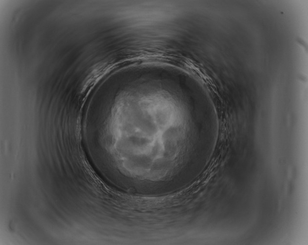 X0000093250002200709261729