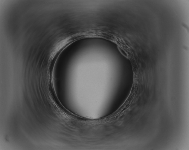 X0000093250005200709261729