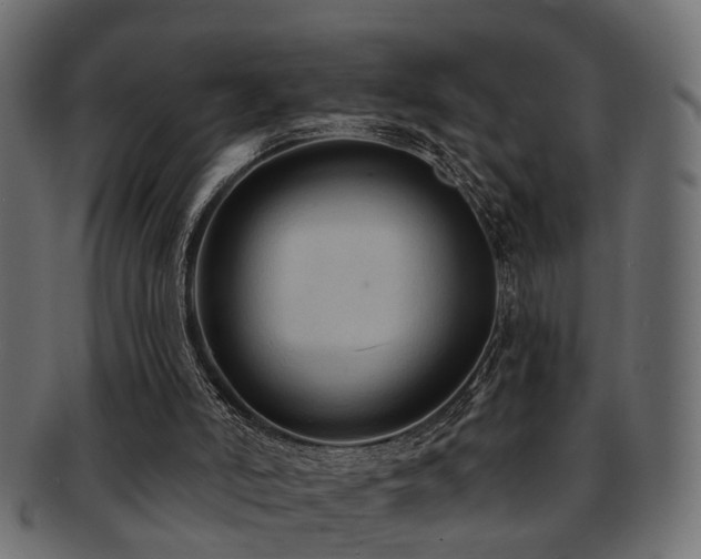 X0000093250006200709261729