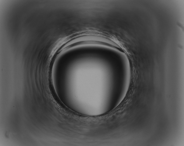 X0000093250007200709261729