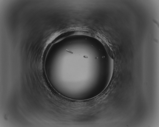 X0000093250008200709261729