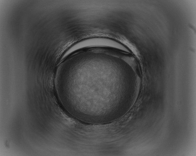 X0000093250009200709261729