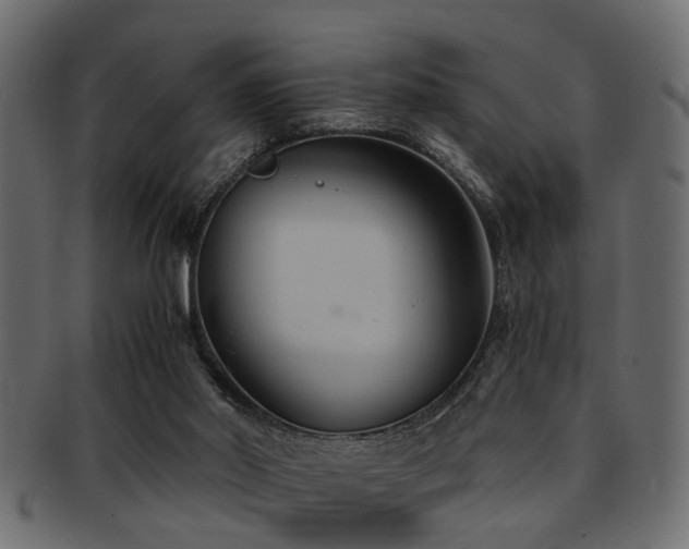 X0000093250014200709261728