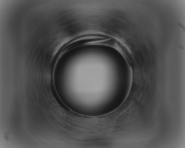 X0000093250015200709261728