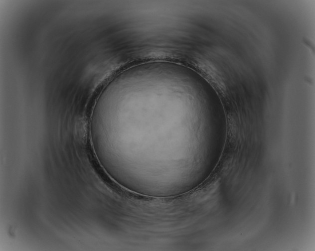 X0000093250016200709261728