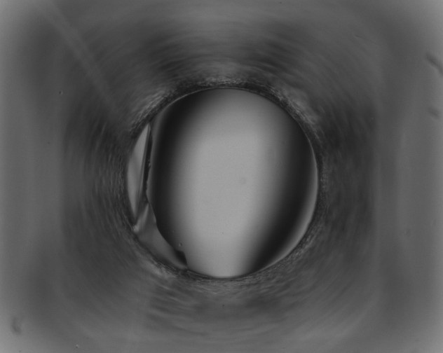 X0000093250017200709261728