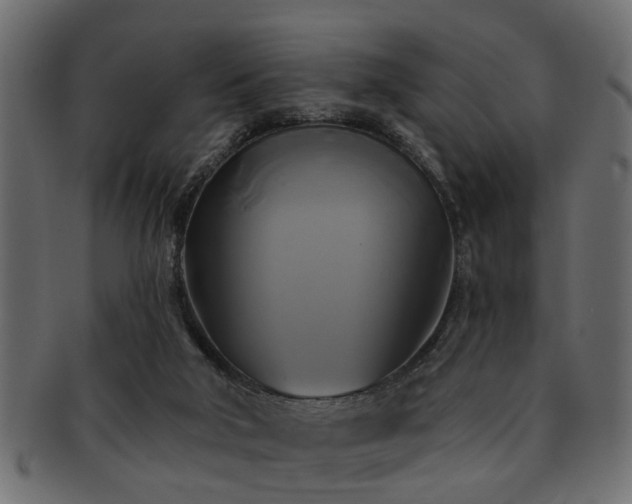X0000093250018200709261728
