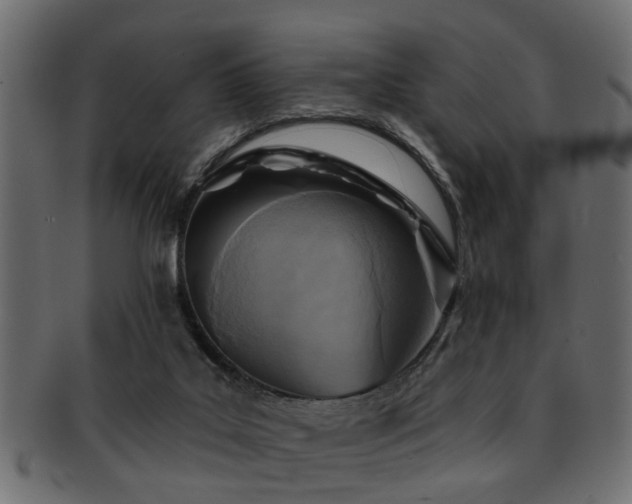 X0000093250019200709261728