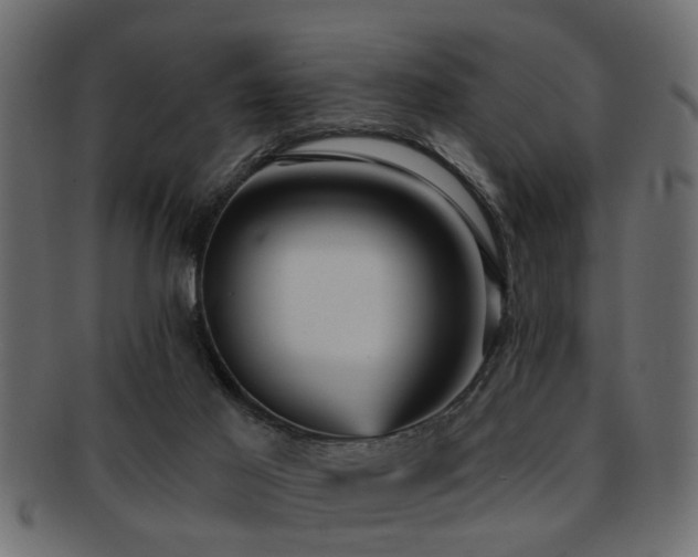 X0000093250021200709261728