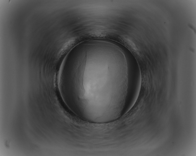 X0000093250023200709261728