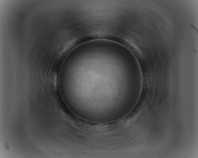 X0000093250024200709261728