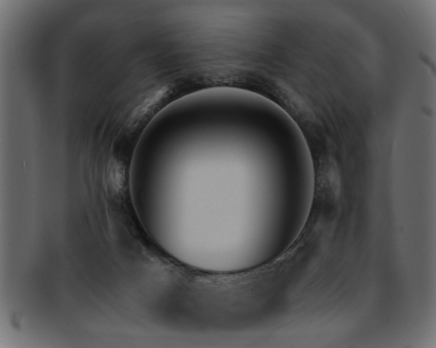 X0000093250025200709261728